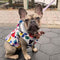 Reversible Waterproof Dog Rain Coat - Graffiti & Iridescent - FUNNYFUZZY