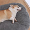 Warm And Comfortable Removable Washable Pet Sleeping Mat And Pet Bed