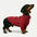 Cable Knit Zipper Collar Dachshund Dog Sweater