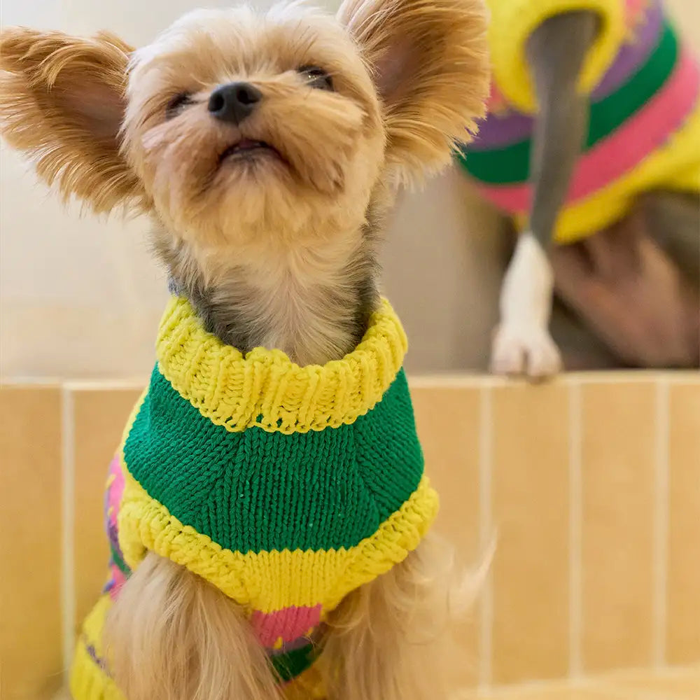 Color Blocked Striped Dachshund Sleeveless Dog Sweater