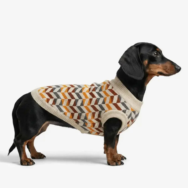 Diamond Striped Dachshund Dog Sweater