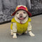 Fashion Reversible Padded Thick Warm Dog Jacket
