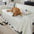 Faux Leather Waterproof Pet Hair-Resistant Sofa Protector Couch Cover