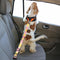 Gradient Elastic Shock-Absorbing Pet Car Safety Belt