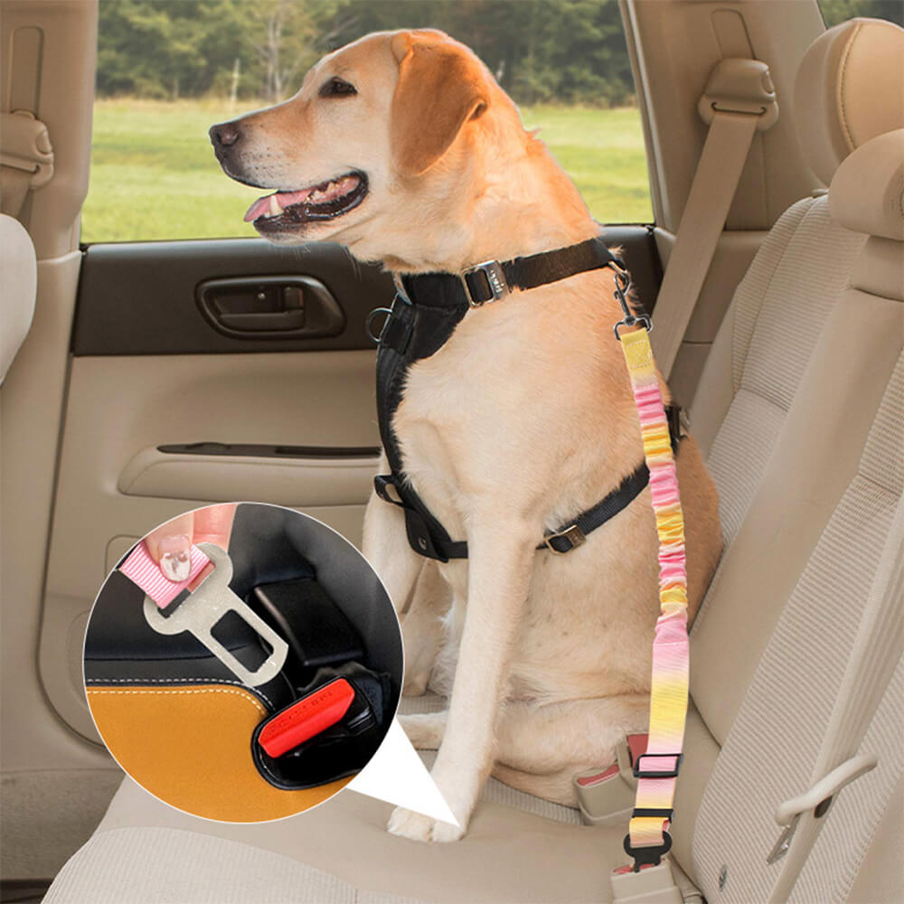 Gradient Elastic Shock-Absorbing Pet Car Safety Belt