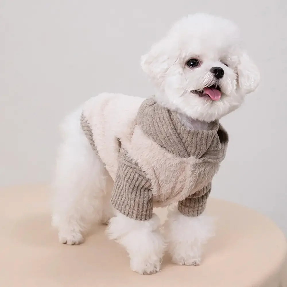 Plush Coat & Matching Turtleneck Sweater Two-Piece Dog Outfit Set