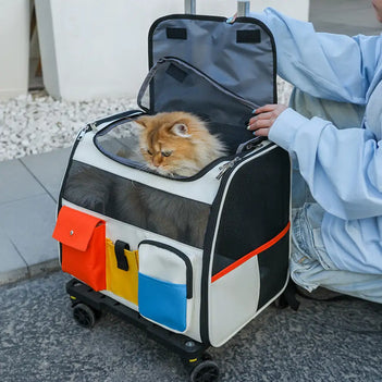 Portable Rolling Pet Backpack Carrier with Detachable Trolley Cat carrier Dog Carrier