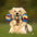 Rainbow Dumbbell Interactive Squeaky Durable Rope Dog Toy
