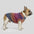 Soft Warm Thick-Knitted Dog Sweater – Designed For Dachshunds, French Bulldogs & Pugs