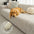 Thick Polar Fleece Jacquard Anti-Scratch Stretch Couch Cover