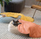 Leaf Shape Dog Blanket With Donut Dog Bed Luxury Dog Gifts - FUNNYFUZZY