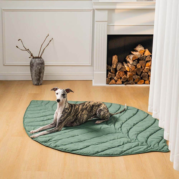 Super Large Leaf Shape Human Mat Dog Blanket - FUNNYFUZZY