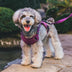Eco-friendly Recycled Fabric No-Pull Dog Harness/Leash