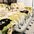 Ice Cream Wavy Chenille Scratch-Resistant Sofa Blanket Couch Cover