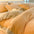 Jacquard Light Luxury Double-Sided Velvet Skin-Friendly Warm Bed Sheet Set