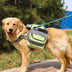 Large Dogs Tactical Dog Harness Self-Pack