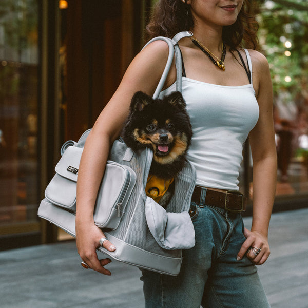 Lightweight Breathable Mesh Safe Pet Carrier - Urban Ease