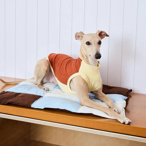 Macaron Color Water-Repellent Multi-Purpose Dog Mat