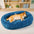 Oval Orthopedic Support Cozy Sleeping Detachable Dog & Cat Bed