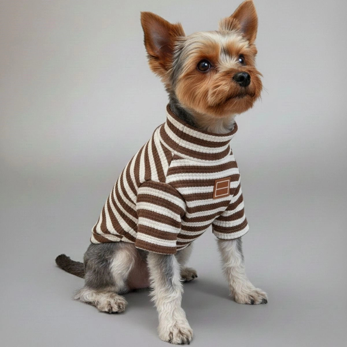 Plaid Baseball Dog Jacket – Sporty and Stylish Outerwear for Dogs