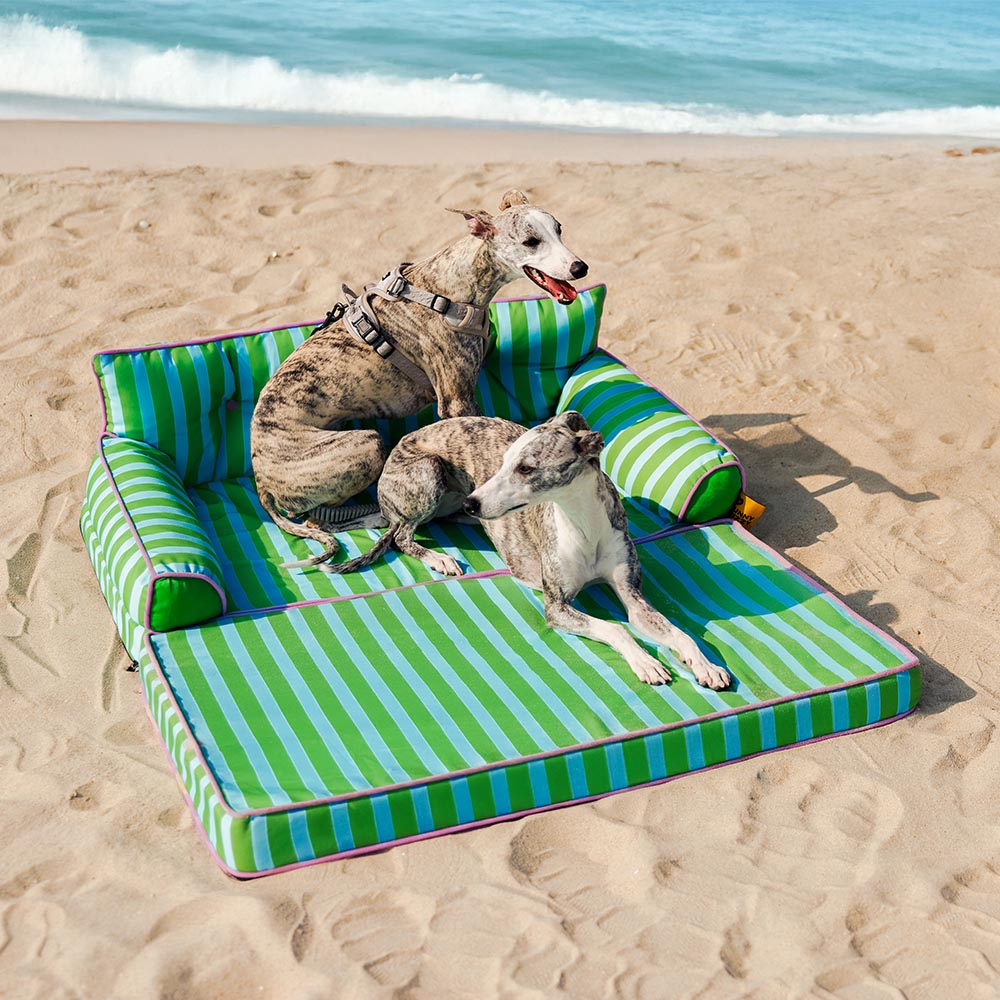 Stripe Waterproof Foldable Large Dog Sofa Bed - Sunny Siesta