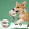 Teething & Play Elastic Interactive Dog Chew Toy