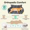 Orthopedic All-season Dog Sofa Bed - Funnyfuzzy SnugNest