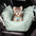 Dog Car Seat Bed - First Class - FUNNYFUZZY