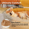 Donut Orthopedic Outdoor Dog Bed