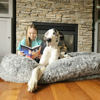 Luxury Super Large Sleep Deeper Oval Bed Human Dog Bed - FUNNYFUZZY