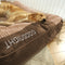Large Outdoor Scratch-resistant Spine Protection Dog Cushion Bed