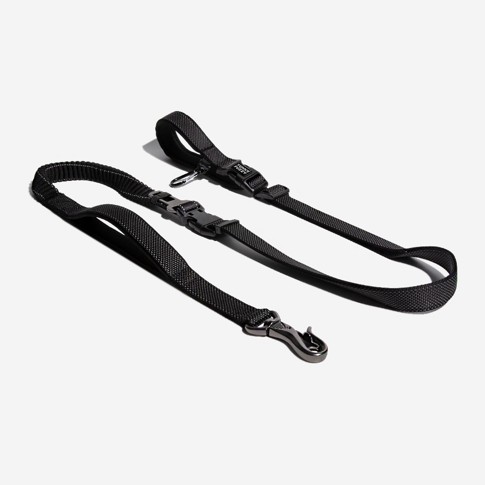 Multifunction Hands Free Dog Leash With Safety Seat Belt - FUNNYFUZZY