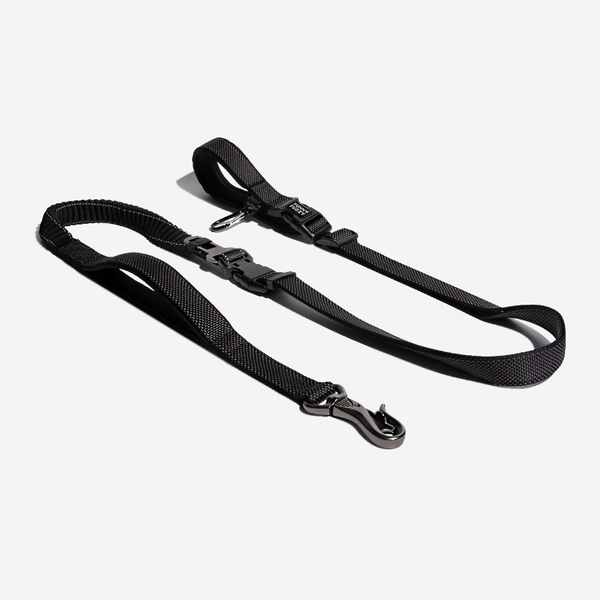 Multifunction Hands Free Dog Leash With Safety Seat Belt - FUNNYFUZZY