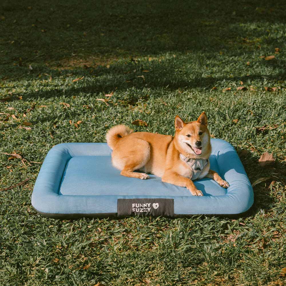 Outdoor Waterproof ＆ Chew-proof Memory Foam Orthopedic Dog Mat - Trek Lounge