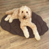 Leaf Shape Dog Blanket - FUNNYFUZZY